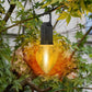 ✨Zeitlich begrenztes Angebot 🔥Hängende Retro-Glühbirnen-Lampe mit Typ-C-Ladeanschluss für Camping im Freien
