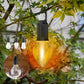 ✨Zeitlich begrenztes Angebot 🔥Hängende Retro-Glühbirnen-Lampe mit Typ-C-Ladeanschluss für Camping im Freien