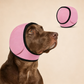 🐕 1 KAUFEN, 1 GRATIS DAZU! 🧢 Wasserdichter Hunde-Hoodie – Beruhigender Sitz & wetterfest für jedes Abenteuer ✨