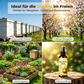 🐝 Natürliches Outdoor-Bienenlockspray