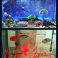 💕💕LED Aquarium Buntes Luftblasenlicht