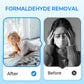 Anti-Formaldehyd-Luftreiniger für Zuhause