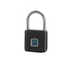 Diebstahlsicheres smartes Fingerabdruckschloss