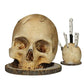 💀Halloween-Überraschung - bis zum halben Preis🎃Kreativer Totenkopf-Messerhalter aus Harz