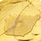 🎨 WASSERBASIERTE GOLDFARBE – Höchste Wetterbeständigkeit • Einfache Anwendung • Umweltfreundlich • Elegante Dekoration