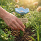 🌿🌸 Keramische Bienentränke in Blütenform💦🐝Praktischer Wasserspender für Bienen, wetterfest & nachhaltig – schonend für Insekten!