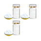 🌊Mittel gegen grünes Wasser und Moos im Aquarium