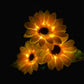 🔥 NUR KURZE ZEIT: -50% ⏳ Solar Sonnenblumen Lichter 🌻 75 cm – romantische Gartenbeleuchtung ganz ohne Strom 💡