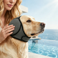 🐕 1 KAUFEN, 1 GRATIS DAZU! 🧢 Wasserdichter Hunde-Hoodie – Beruhigender Sitz & wetterfest für jedes Abenteuer ✨
