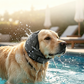 🐕 1 KAUFEN, 1 GRATIS DAZU! 🧢 Wasserdichter Hunde-Hoodie – Beruhigender Sitz & wetterfest für jedes Abenteuer ✨