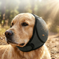🐕 1 KAUFEN, 1 GRATIS DAZU! 🧢 Wasserdichter Hunde-Hoodie – Beruhigender Sitz & wetterfest für jedes Abenteuer ✨