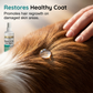 🐾✨ Wund- und Hautpflegespray für Hunde und Katzen – Beruhigt Schnitte und Schürfwunden in Sekunden 🐶