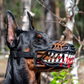 🎃 JETZT 50 % RABATT! 🐶 Realistische Halloween-Hundemaulkorb-Verkleidung – gruselige blutige Reißzähne, verstellbares lustiges Cosplay-Zubehör für Halloween-Partys