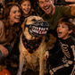🎃 JETZT 50 % RABATT! 🐶 Realistische Halloween-Hundemaulkorb-Verkleidung – gruselige blutige Reißzähne, verstellbares lustiges Cosplay-Zubehör für Halloween-Partys
