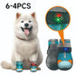 ⏳ Nur für kurze Zeit: 50 % Rabatt ⏰ Atmungsaktive Hundeschuhe aus Mesh mit leuchtendem Design 🐶👟