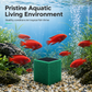 🐟Jetzt 50% sparen! Aktivkohle-Filterwürfel – unterstützen die Wasserreinigung, reduzieren Gerüche & Verfärbungen – einfach in den Filter geben ✨