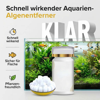 🌊Mittel gegen grünes Wasser und Moos im Aquarium