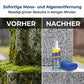 ⏰🎁Spray zur Restaurierung und Reinigung von Grabsteinen